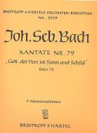 Gott, der Herr, ist Sonn und Schild 