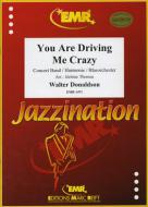 You Are Driving Me Crazy Download
