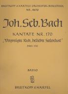 Vergnügte Ruh, beliebte Seelenlust 