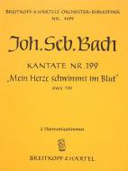 Mein Herze schwimmt im Blut 