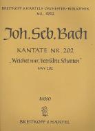 Weichet nur, betrübte Schatten 