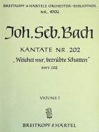 Weichet nur, betrübte Schatten 