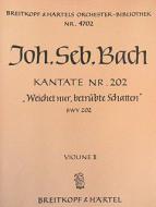 Weichet nur, betrübte Schatten 