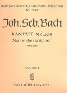 Non sa che sia dolore / Was Schmerz sei und was Leiden 