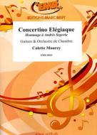 Concertino Elégiaque Download