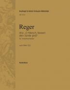 Aria O Mensch, bewein dein Sünde groß 