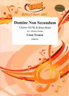 Domine Non Secundum Download