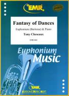 Fantasy Of Dances Download