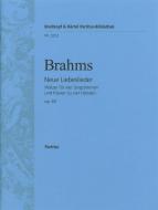 Neue Liebeslieder op. 65 