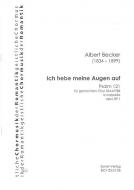 Ich hebe meine Augen auf 