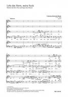 Lobe den Herrn, meine Seele op. 88 