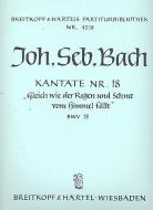 Gleichwie der Regen und Schnee vom Himmel fällt 