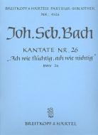 Ach wie flüchtig, ach wie nichtig 