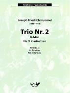 Trio Nr. 2 für 3 Klarinetten (b-moll) 