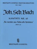 Sie werden aus Saba alle kommen 