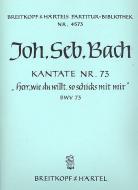 Herr, wie du willt, so schicks mit mir 