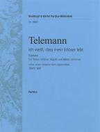 Ich weiß, dass mein Erlöser lebt 