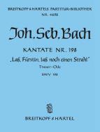 Lass, Fürstin, lass noch einen Strahl 