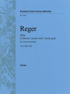 Aria O Mensch, bewein dein Sünde groß 