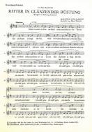 Ritter in glänzender Rüstung 