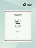 Was sind das für große Schlösser BWV 524 