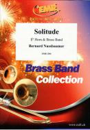 Solitude Standard