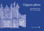 Organo pleno 