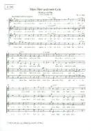 Mein Herr und mein Gott 