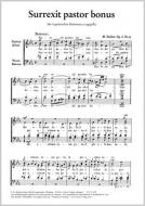 Surrexit pastor bonus 