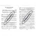 El Campo está Florido 