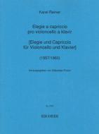 Elegie und Capriccio 