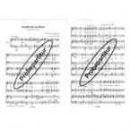 Abendfriede am Rhein 