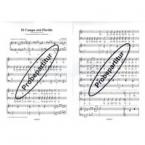 El Campo está Florido 