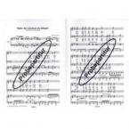 Süsser die Glocken nie klingen 