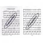 Auf Flügeln des Gesanges 