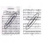 Frühlingsglaube op. 20 Nr. 2 