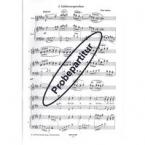 Lieder der Sehnsucht 