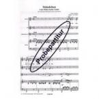 Ständchen (Leise flehen meine Lieder) 