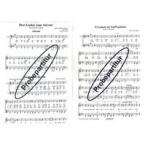 Drei Lieder zum Advent 