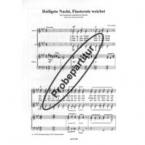 Heiligste Nacht, Finsternis weichet 