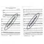 Steigt auf zu Gott, ihr Freudenlieder 