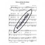 Stern, auf den ich schaue 