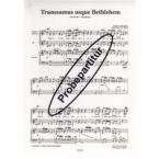 Transeamus usque Bethlehem 