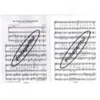 Der Traum vom Weihnachtsbaum 