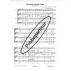 Hosianna, Davids Sohn 