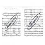 Am Weihnachtsbaum die Lichter brennen 