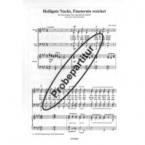 Heiligste Nacht, Finsternis weichet 