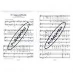 El Campo está Florido 