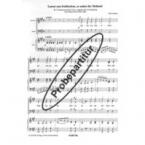 Lasset uns frohlocken, es nahet der Heiland 