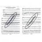 Steigt auf zu Gott, ihr Freudenlieder 